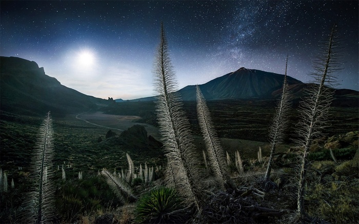 Starry night over Teide National Park, Tenerife