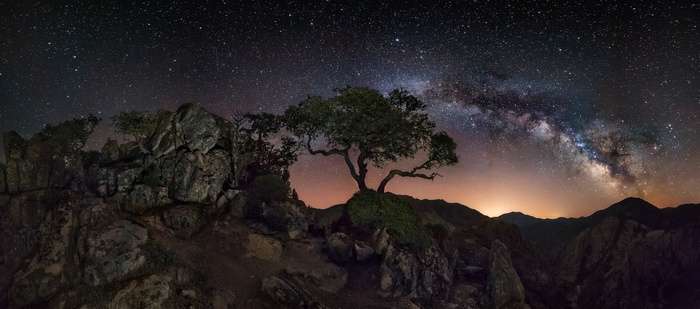 Milky Way over a tree and rocky landscape