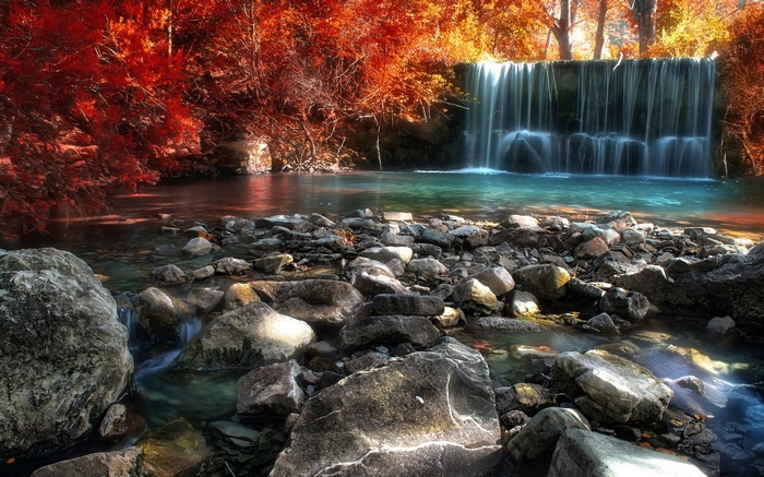 Waterfall in a forest with red and yellow autumn leaves