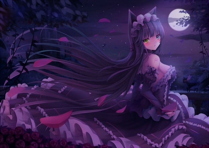 Anime girl with cat ears in a dark garden at night