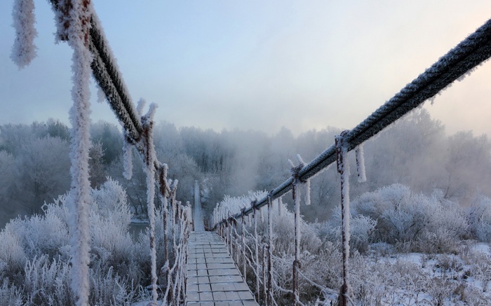 A frozen suspension bridge in a winter forest