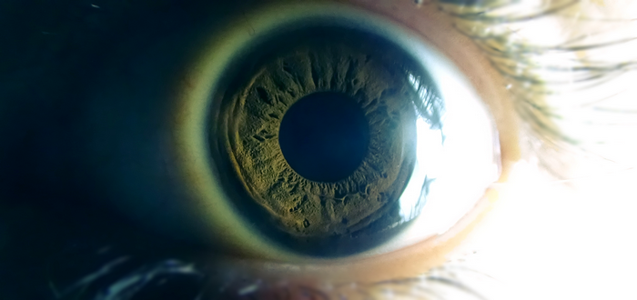 Extreme close-up of a human eye with green iris