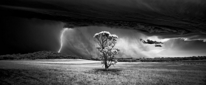 Monochrome panorama of a lightning storm over a field with a tree