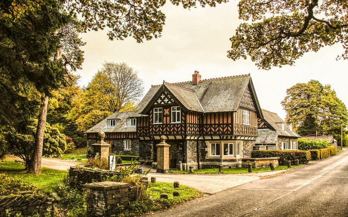 Tudor-style house with trees and a road
