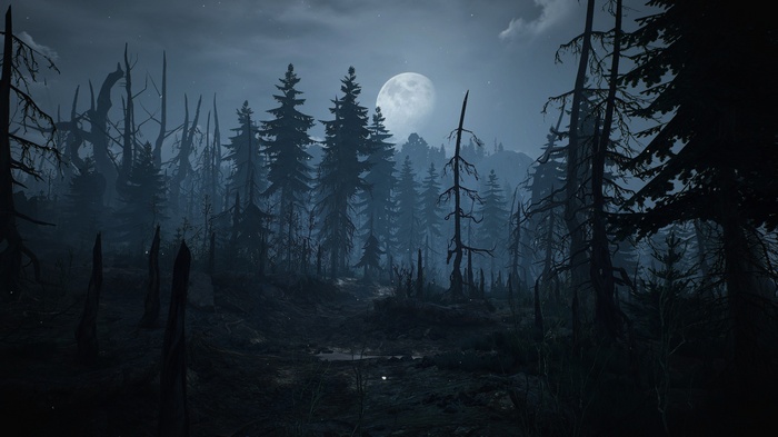 The Witcher 3: Wild Hunt Skellige Forest at Night