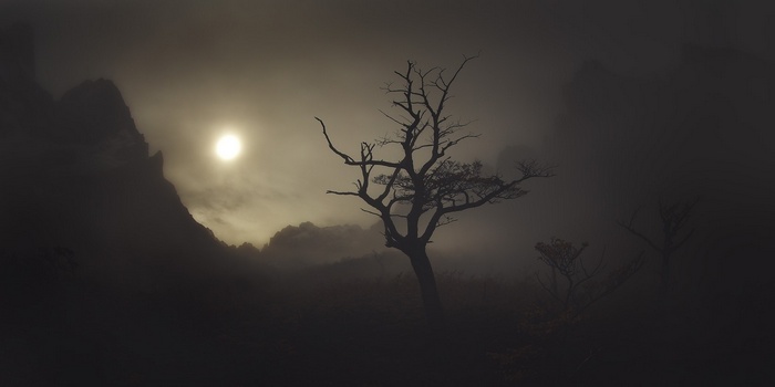 Patagonia mountains shrouded in mist with a dead tree