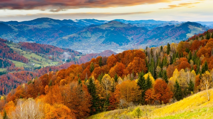Colorful autumn forest landscape in the mountains