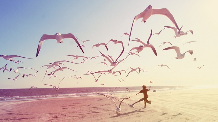 Child running with seagulls on a beach
