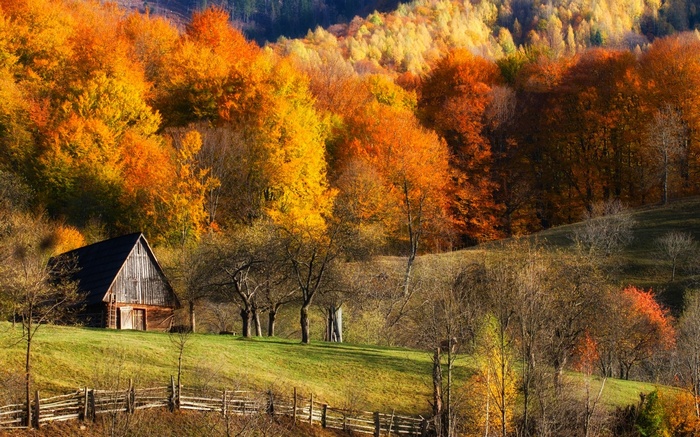 Wooden barn on a grassy hill with autumn trees