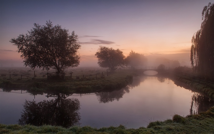 Misty river landscape with trees and a bridge at dawn