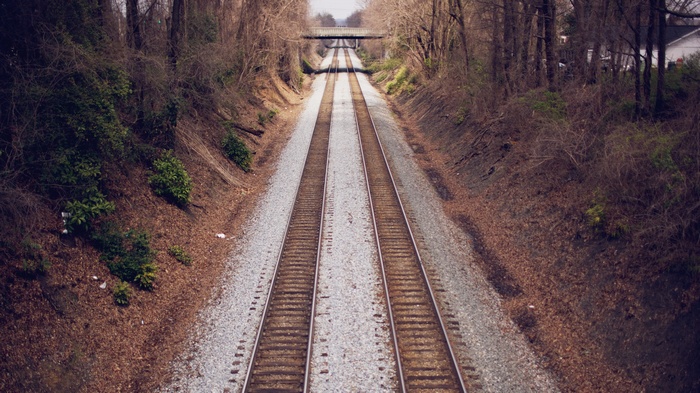Train tracks leading to a bridge in a forest