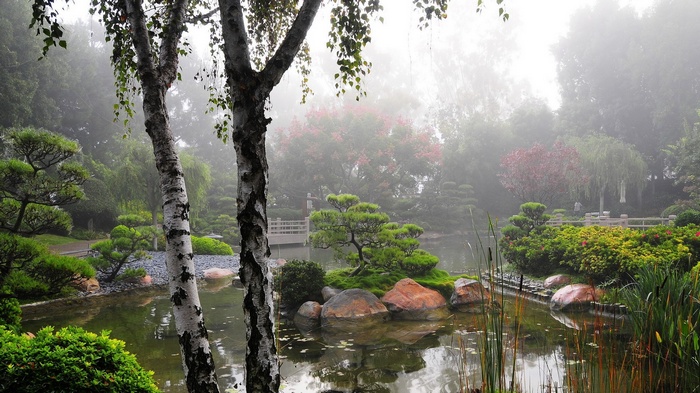 Misty Japanese garden with a pond and trees