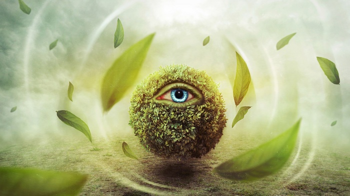 Surreal eye ball covered in leaves with falling leaves