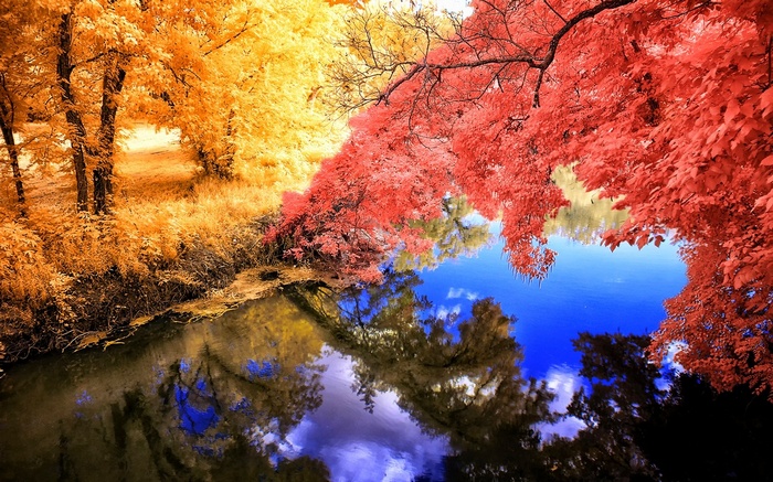 lake, calm, pink, yellow, blue, grass, trees, water, colorful, reflection, landscape, nature, fall