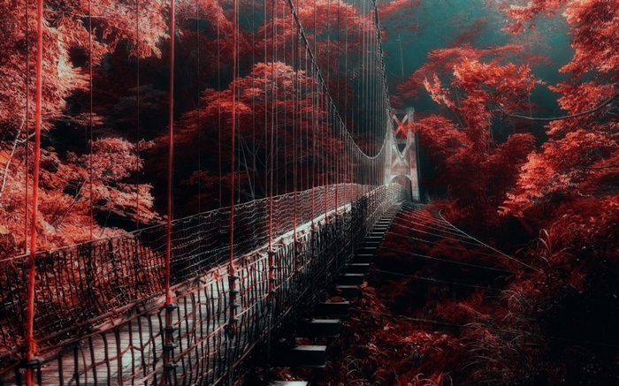 Red forest suspension bridge in mist