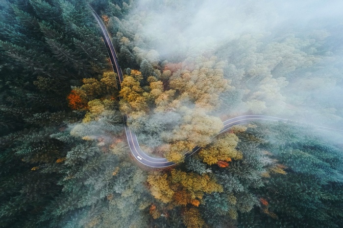 Aerial view of a winding road through a misty Oregon forest in fall