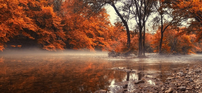 Autumn forest with river and mist in Greece