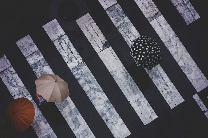 Umbrellas on a Japanese crosswalk