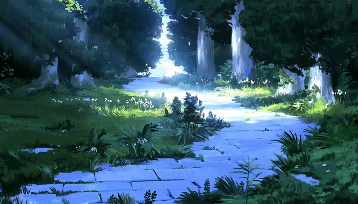 A path through a sunlit forest with tall trees