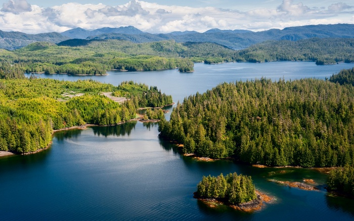 Aerial view of a forested coastline with mountains