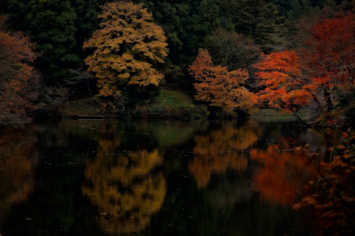 Autumn trees reflected in a dark lake