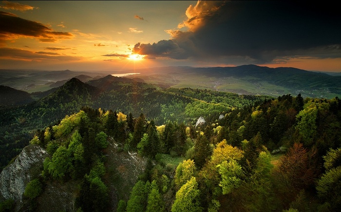 forest, nature, sunset, spring, mountains, landscape, clouds, mist, sky, trees