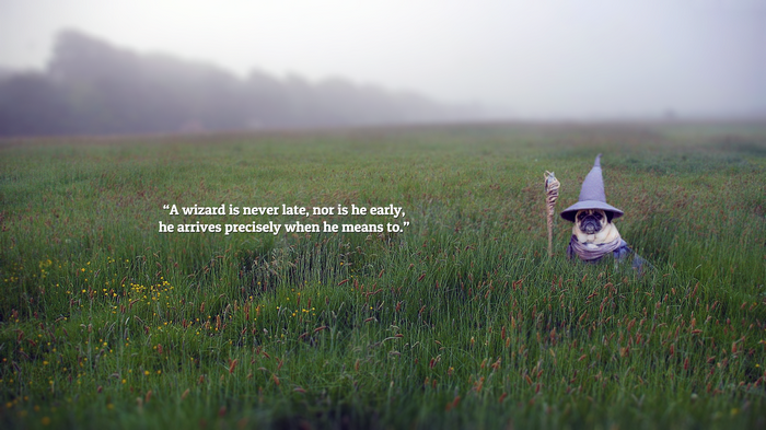 Gandalf Pug in a Field with Quote