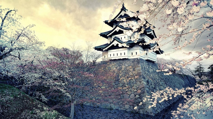 Japanese castle surrounded by cherry blossoms