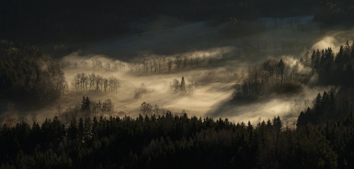 Misty morning landscape with forest and hills
