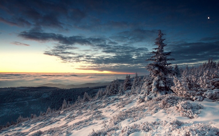 Winter forest landscape with snow and mist at sunset