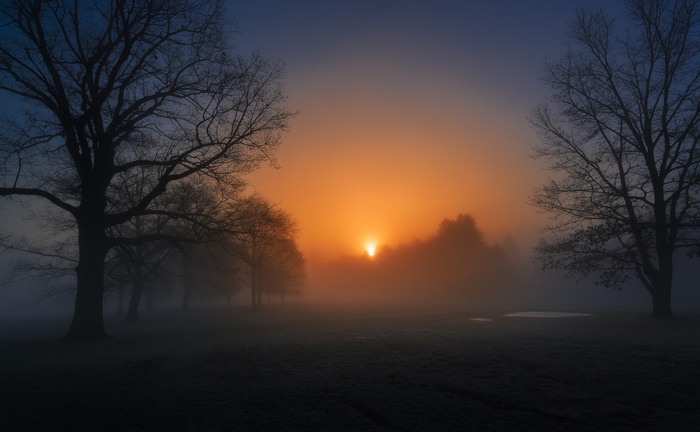 Misty sunrise over a field with silhouetted trees