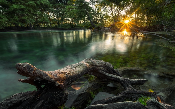 Sunset over a clear lake with fallen tree