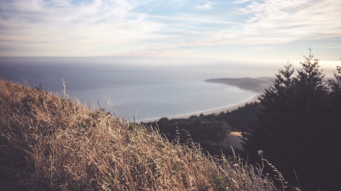 Coastal view with dry grass and trees overlooking the ocean
