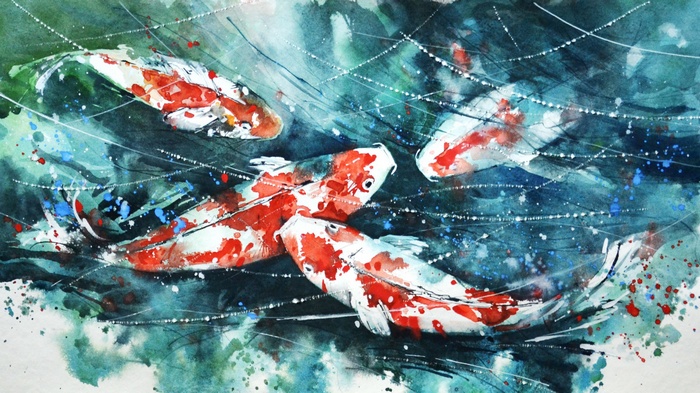 watercolor, koi, artwork, paint splatter, painting, fish