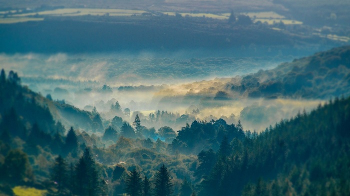 Misty mountains and forest landscape