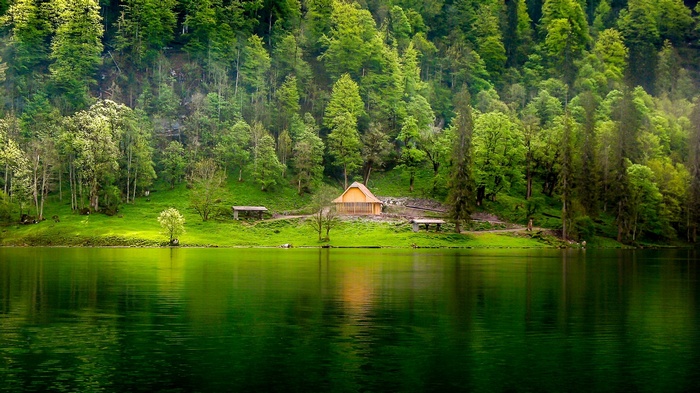 hills, forest, lake, cabin, mist, water, nature, green, trees, landscape, grass
