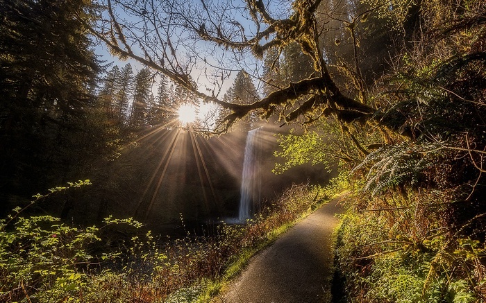 Waterfall and sun rays in Oregon forest