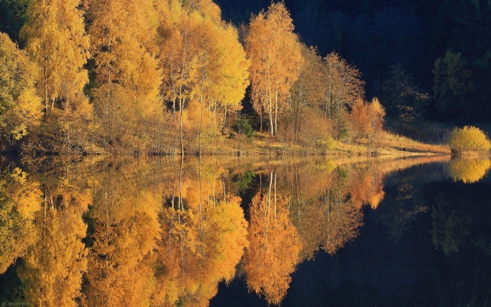 hills, calm, reflection, fall, nature, forest, trees, yellow, lake, water, landscape