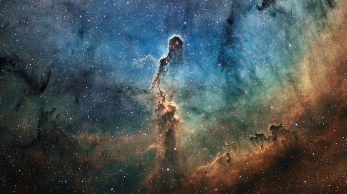 The Elephant Trunk Nebula in Space
