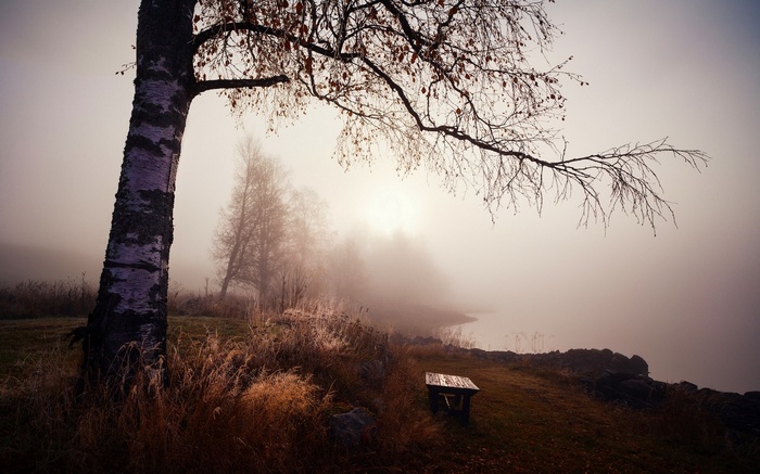 Misty morning by the lake with a lone bench