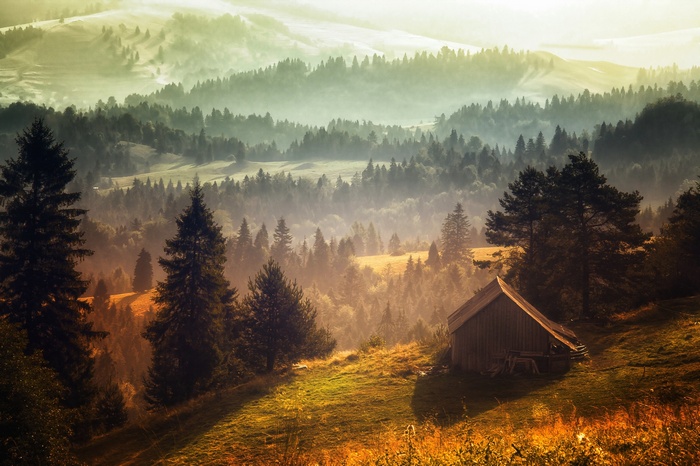 Misty forest hills with a wooden cabin at sunrise