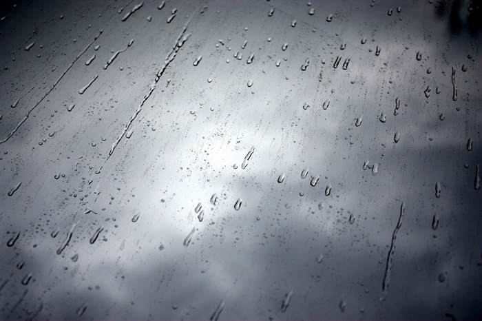 Raindrops on a window pane