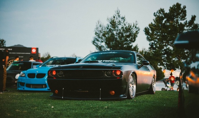 Black Dodge Challenger parked on grass
