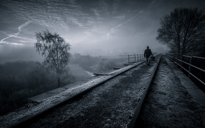 Man walking on a misty railway bridge with trees