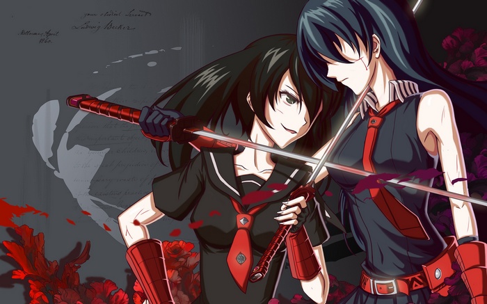 Akame, Akame ga Kill!, katana, Kurome (Akame ga Kill), blood, sword