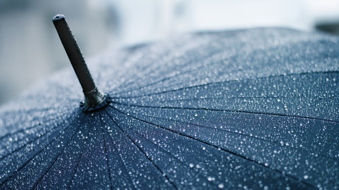 Close-up of a dark umbrella with water drops