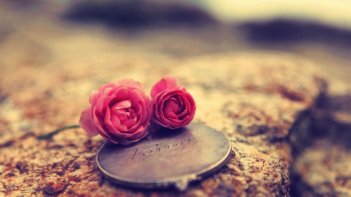 Two pink roses on a textured surface with a locket