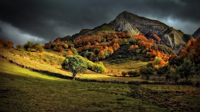 Autumn trees on a mountainside under dark clouds