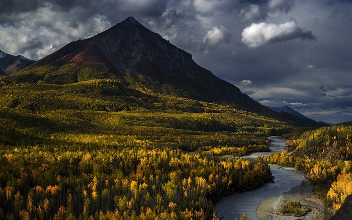 Mountain and forest in Alaska during fall