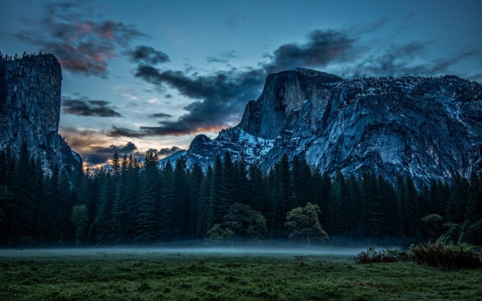 Misty meadow with mountains and pine forest at dusk